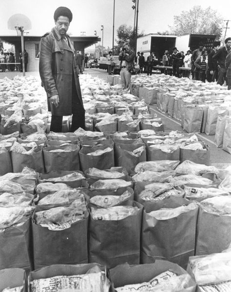 Bobby Seale Checks Food Bags | Picture This Food Donations, Bobby Seale, Food Groceries, Black Fact, Black Panther Party, Black Panthers, By Any Means Necessary, Black Knowledge, Oakland California