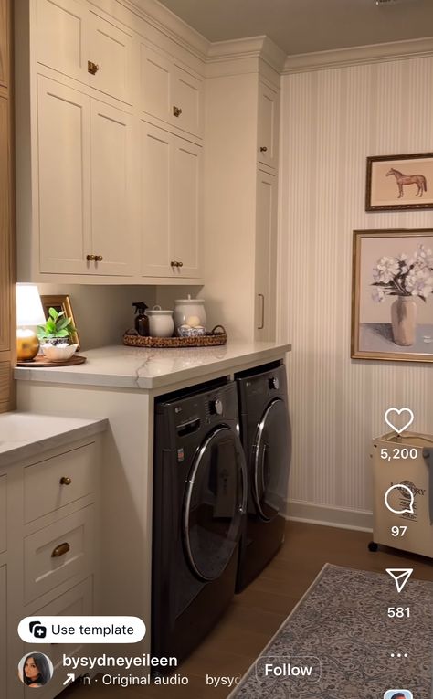 Small Pantry And Laundry Room, Laundry Room Pantry Combo Ideas, Pantry And Laundry Room Combo, Laundry Room Combo, Laundry Room Pantry, Laundry Pantry, Pantry Laundry Room, Pantry Laundry, Laundry Space