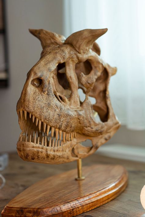 Handmade Carnotaurus Sastrei Skull is a replica of the only Carnotaurus skeleton that unearthed in 1984 by an expedition led by Argentinian paleontologist José Bonaparte. This replica has made out of PLA, Brass, Chestnut wood and Acrylic paint. A great gift for valentine's day. In addition to being a great gift for children who are interested in dinosaurs, it is also a masterpiece that can be used for educational purpose. Or if you are looking for a great decor for your office? Carnotaurus it is. Overall dimensions of the replica are 440mm width and 340mm height. This is the 1/4 size of the real skeleton that has been unearthed by paleontologists. There are 3 color options for now, feel free to send us a message if you want to have your own picks on the coloring. Carnotaurus was a large bu Dinosaur Fossil Decor, Carnotaurus Skeleton, Carnotaurus Skull, Dino Skull, Real Skeleton, Dino Decor, Dinosaur Skull, Chestnut Wood, Jurassic World Dinosaurs