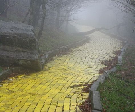 There’s a little-known festival that takes place at North Carolina’s abandoned Land of Oz amusement park. The park opens its doors to the public just once a year for “Autumn at Oz,” where former employees and past park visitors reminisce about the weird little Wizard of Oz theme park. Abandoned Theme Parks, Beech Mountain, Abandoned Town, The Yellow Brick Road, Twitter Posts, Abandoned Amusement Parks, Land Of Oz, Creepy Pictures, Brick Road