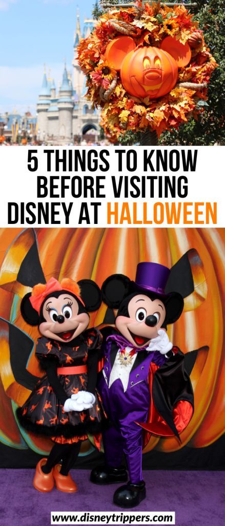 Best Disney Costumes, Halloween At Disney, Magic Kingdom Tips, Disney Halloween Parties, Disney World Halloween, Not So Scary Halloween Party, Halloween Travel, Not So Scary Halloween, Scary Halloween Party