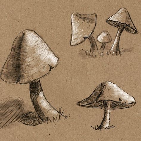 . . . . (exercise with references) #mushroom #fungi #fungus #gill #plant #naturedrawing #quicksketch #sketch #sketching #dailysketch… Mushroom Drawing Detailed, Mushroom Person Drawing, Mushroom Pen Drawing, Drawings On Brown Paper, Brown Paper Sketch, Toned Paper Sketch, Brown Paper Drawing, Brown Sketch, Mushroom Sketch