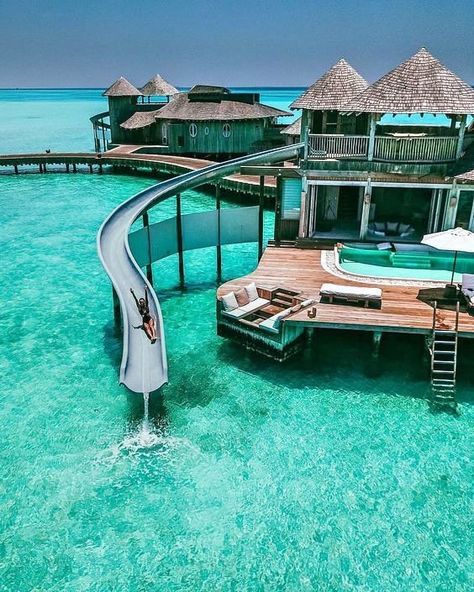 Overwater Bungalow in Maldives. 20 Amazing Hotels In Striking Locations You Must Visit. #maldives #resort Aloita Resort, Soneva Jani, Amazing Hotels, Overwater Bungalows, Clear Blue Water, Dream Vacations Destinations, Dream Travel Destinations, Dream Holiday, Future Travel