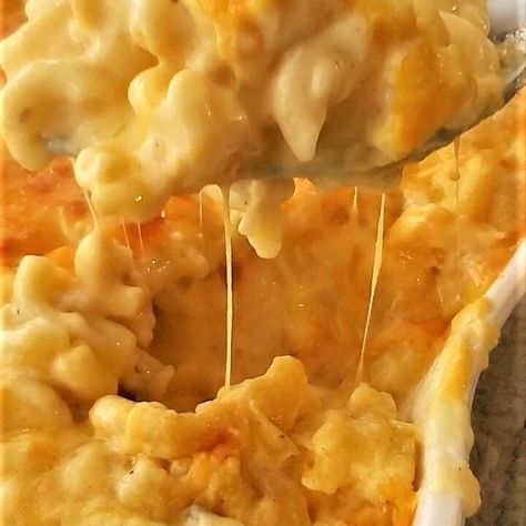 The Creamiest Gluten Free Baked Macaroni and Cheese - Let Them Eat Gluten Free Cake Gluten Free Mac And Cheese Recipe, Gluten Free Mac And Cheese, Baked Macaroni And Cheese, Allergen Free Recipes, Gluten Free Thanksgiving, Vegetarian Pasta Recipes, Baked Mac N Cheese, Baked Macaroni, Baked Mac