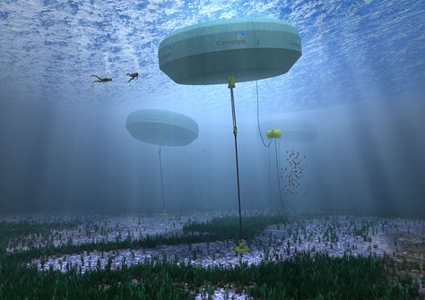 World's first wave energy microgrid project due off Western Australia coast Wave Energy, Solar Energy Diy, Energy Companies, Energy Projects, Green Technology, Wind Energy, Energy Technology, Energy System, Sustainable Energy