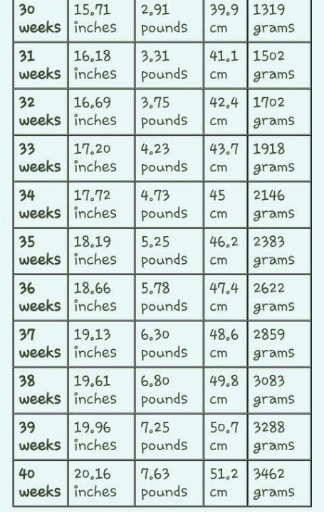 growth spurt chart weeks 30-40 Growth Spurt Chart, Fetal Growth Chart, Signs Of Twin Pregnancy, Early Signs Of Pregnancy, Pregnancy Chart, Ivf Procedure, Baby Growth Chart, Pregnancy Facts, 30 Weeks Pregnant