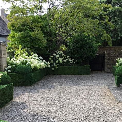 James Todman on Instagram: "One from my past. A front garden in the Cotswolds that I planted with Hydrangea ‘Annabelle’. They work really well behind the tight clipped Buxus. #boxhedge #buxus #boxwood #hydrangea #plantingideas #cotswolds #hydrangeaannabelle #topiary" Hydrangea Planting, Boxwood Hydrangea, Hydrangea Annabelle, Greenhouse Farming, Annabelle Hydrangea, Planting Hydrangeas, Garden Plans, Garden Greenhouse, My Past