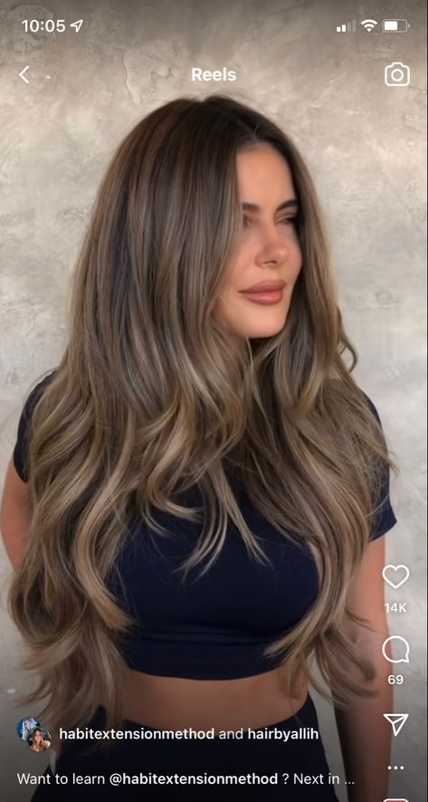 Brunette Balayage Hair Ideas, Bad Balayage Gone Wrong, Brielle Biermann Hair Brown, Nutty Brown Hair, Expensive Looking Hair, Nice Brown Hair Color, Expensive Brown Hair Color, Caramel Brunette Hair Color, Blonde For Tan Skin Tone