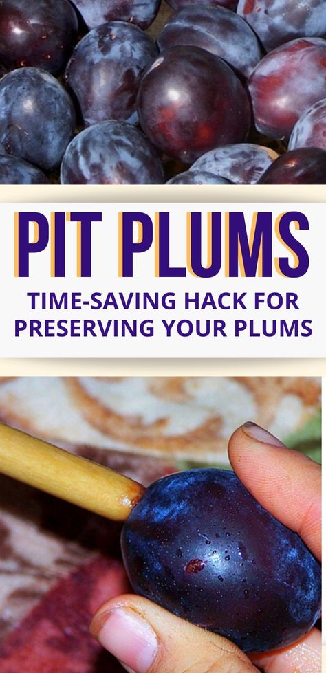 Learn how to quickly pit plums for cooking or preserving! Freeze Plums How To, How To Can Plums, How To Freeze Fresh Plums, Freezing Fresh Plums, Canning Plums Whole, How To Preserve Plums, What To Do With Fresh Plums, How To Freeze Plums, Canned Plums Recipes