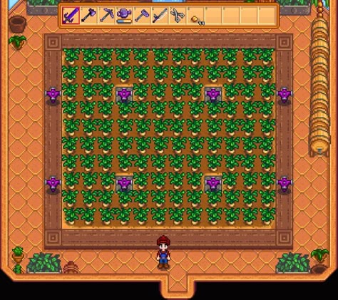 Steam Community :: Guide :: Maxing Your Usable Greenhouse Area Stardew Valley Greenhouse, Stardew Valley Layout, Stardew Valley Tips, Stardew Valley Farms, Valley Green, Architecture Model Making, Fruit Tree, Stardew Valley, Quick Guide