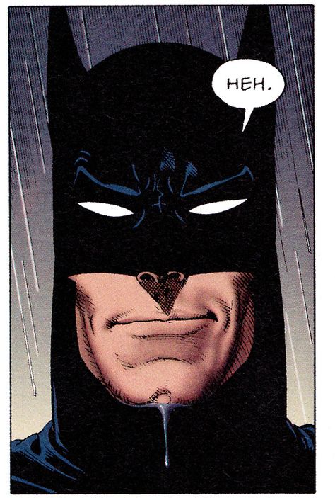 ©Brian Bolland Brian Bolland, Bob Kane, Univers Dc, Batman Artwork, Batman And Catwoman, Arte Dc Comics, Im Batman, Batman Universe, Bd Comics