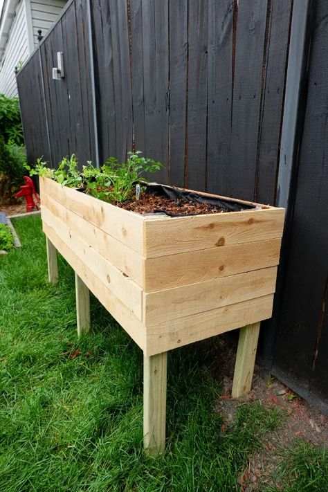 Diy Cedar Planter Box, Diy Wood Planter Box, Cedar Fence Pickets, Fence Picket, Elevated Planter Box, Elevated Gardening, Cedar Planter Box, Fence Planters, Raised Planter Boxes