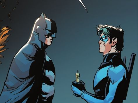 Nightwing X Batman, Nightwing And Batman, Batman And Nightwing, Batman Nightwing, Batfamily Funny, Wayne Family, John Gray, Stephanie Brown, Lois Lane