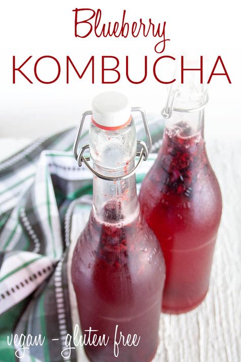 This DIY Blueberry Kombucha is an easy inexpensive way to get your kombucha fix. Made with frozen blueberries, you can have it all year long! Blueberry Kombucha Recipe, Kombucha Yogurt, Watermelon Kombucha, Blueberry Kombucha, Flavored Kombucha, Fermented Beverages, Kombucha Brewing, Second Ferment Kombucha, Kombucha Recipes