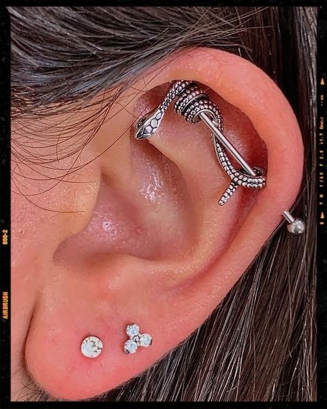 Industrial Piercing Idea Curated Ear With Industrial, Industrial Piercing Snake, Industrial Piercings Aesthetic, Indistruel Piercing, Industrial Piercing Earrings, Unique Industrial Piercing Jewelry, Ear Piercing Ideas Industrial, Industrial Piercing Cute, Ear Bar Piercing