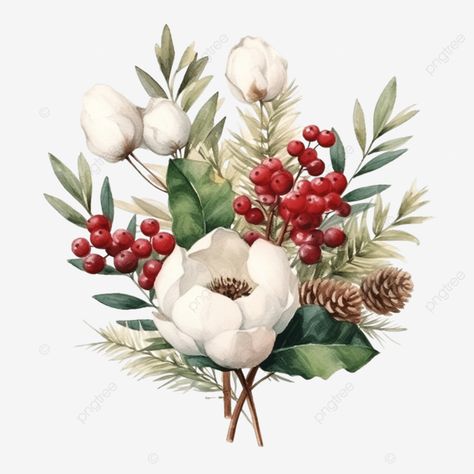 watercolor christmas composition bouquet of holly leaves and berries and cotton flowers green wrea Christmas Flowers Illustration, Christmas Flower Bouquet, Christmas Embellishments, Christmas Composition, Holly Leaves And Berries, Christmas Stock Photos, Christmas Bouquet, Flower Wallpapers, Floral Png