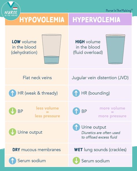 Clinical Judgement Nursing, Nursing Electrolytes, Nclex Hacks, Nursing School Prep, Charting For Nurses, Nursing School Studying Cheat Sheets, Nurse Skills, Medical Assistant Student, Nclex Prep