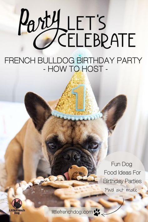 Having a birthday party is a pawriffic way to show your beloved French Bulldog how much you love them. We have same great tips for planning your next birthday party for your furbaby. #frenchbulldog #frenchie #brithdayparty French Bulldog Birthday Party, French Bulldog Party Theme, Frenchie Birthday Party, Frenchie Photoshoot, Bulldog Birthday Party, French Bulldog Party, Frenchie Birthday, Polo Ideas, Dog Bday