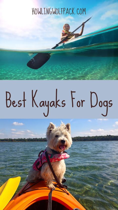 Kayaking With Dogs, Dog Activities, Wolf Howling, Dog Travel, Kayaks, Dog Friendly, Water Sports, Dog Friends, You Choose