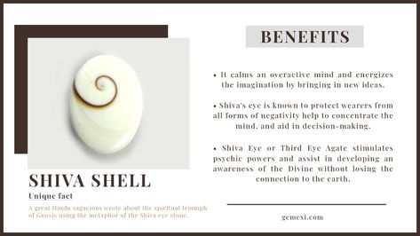 Eye Of Shiva Stone Meaning, Shiva Shell Meaning, Shiva Eye Shell Meaning, Shiva Shell Crystal Meaning, Seashell Meaning, Shells Meaning, Shell Meaning, Pisces Szn, Shiva Stone