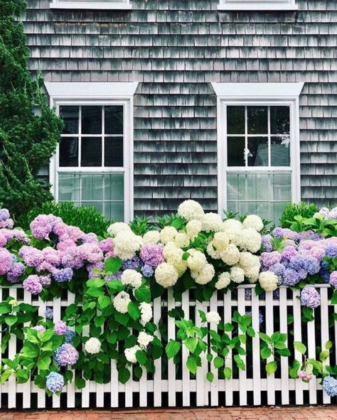 Hydrangea Heaven: 16 Dreamy Gardens To Make You Fall In Love With Summer | The Well Appointed House Design, Fashion and Lifestyle Blog Dreamy Gardens, Front Porch Garden, Front Garden Landscape, Hydrangea Arrangements, Hydrangea Garden, Beautiful Cottages, Porch Garden, Patio And Garden, French Garden