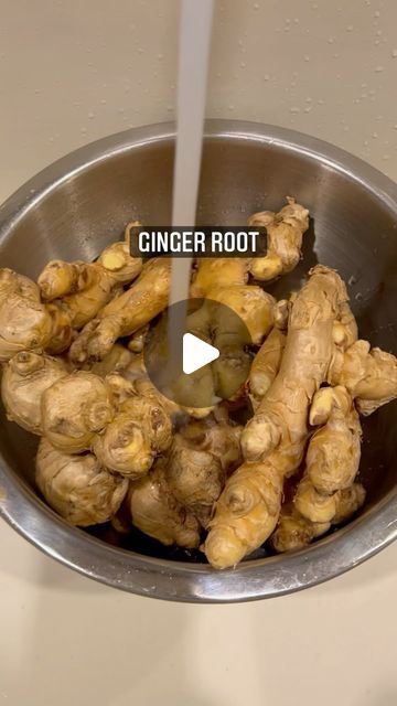 Melanie on Instagram: "SnoopDog, do you drink ginger juice ?" How To Juice Ginger Root, How To Store Ginger Root, How To Juice Ginger, Plants Grown In Water, Garlic And Ginger, Ginger Juice, Ginger Root, Ginger, Garlic