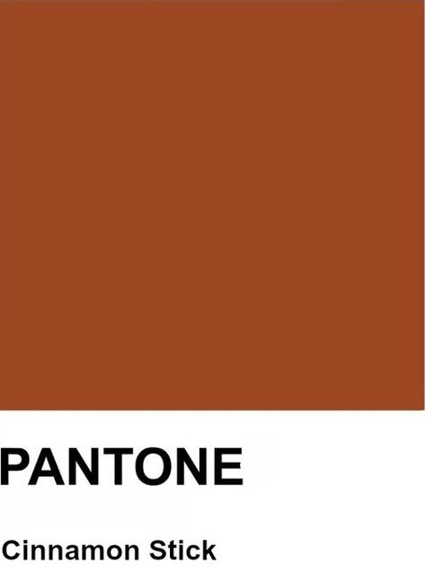 Cinnamon Brown, Carmel Color, Cinnamon Color, Pantone Palette, Shade Card, Screen Design, Earthy Colors, Wall Color, Pantone Color