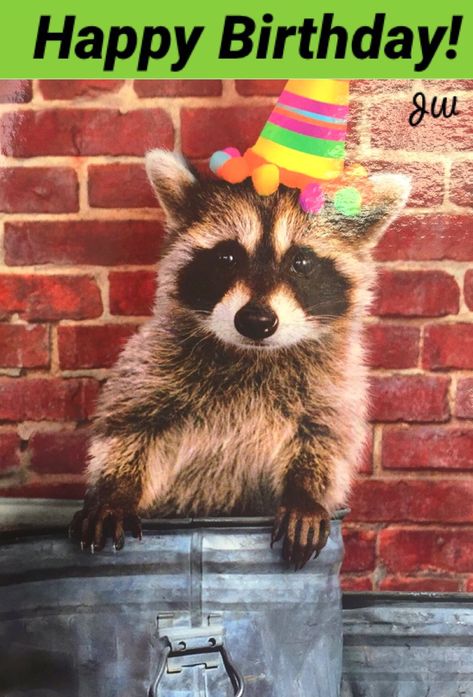 Happy Birthday Raccoon Meme, Happy Birthday Ethan, Raccoon Memes, Pediatric Speech Therapy, Happy Birthday Wishes For Him, Happy Birthday Angel, Happy Birthday Wishes For A Friend, Thankful And Grateful, Birthday Wishes For Him