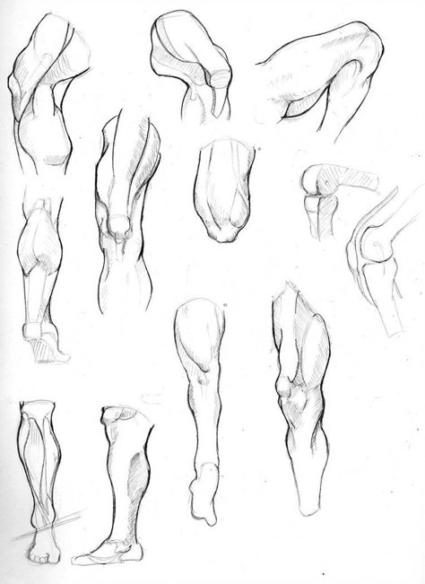 Muscle Legs Drawing, Leg Muscles Drawing Reference, Leg Muscles Drawing, Muscle Drawing, Legs Drawing, Leg Anatomy, Leg Muscle, Drawing Legs, Human Body Drawing