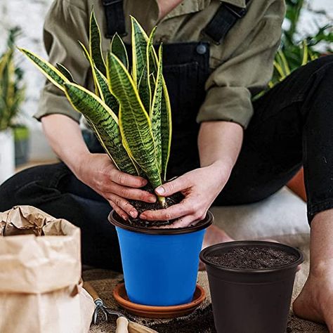 Amazon.com: 4 inch Planter Nursery Pots, Plastic Planters Pots for Plants Flower Transplanting 30 Pcs.Five Colors (Black, White, Blue, Green, Purple) : Patio, Lawn & Garden Pots For Plants, Plastic Planters, Lawn Garden, Potted Plants, Planting Flowers, White Blue, 4 Inch, Planter Pots, Lawn