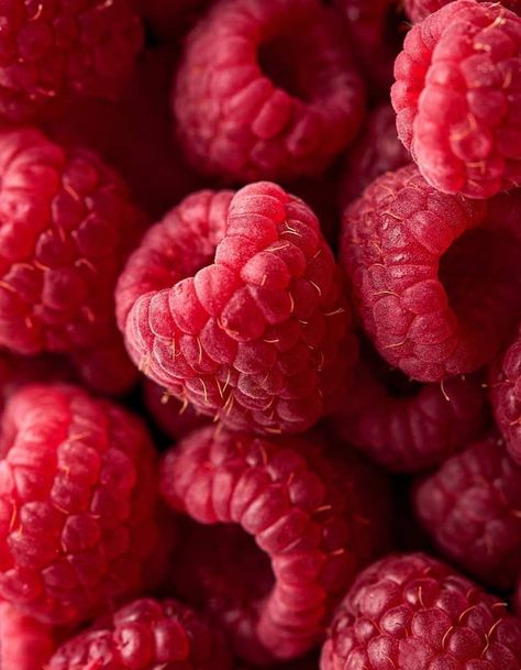 Kombucha, Fresh Fruit, Mood Board, Raspberry, Fruit