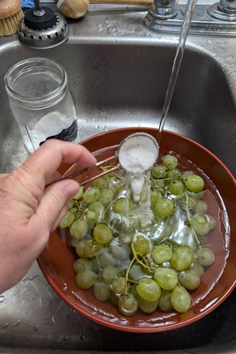 Use My Method to Store Grapes for Up to a Month How To Wash Grapes, Wash Grapes, How To Store Grapes, Homemade Cider, How To Store, My Food, Healthy Eats, Bento Box, Food Waste