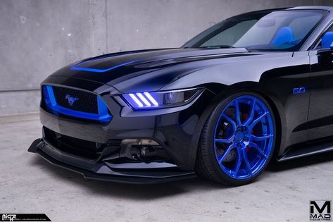 Black And Blue Mustang S550 by Niche Road Wheels Blue Prom Accessories, Blue Mustang Aesthetic, Alexa Core, Blue Sports Car, Mustang Blue, Prom Car, Mustang S550, Blue Mustang, Blue Cars