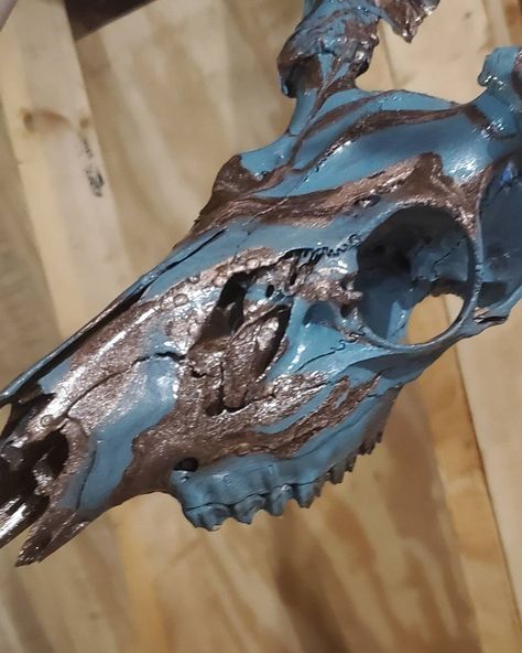 First attempt! I did a dark expresso base coat then dipped in metallic copper and antique teal. Love how it turned out! Dipped Deer Skull, Deer Skull, Deer Skulls, Metallic Copper, Base Coat, Project Ideas, Deer, Copper, Turn Ons