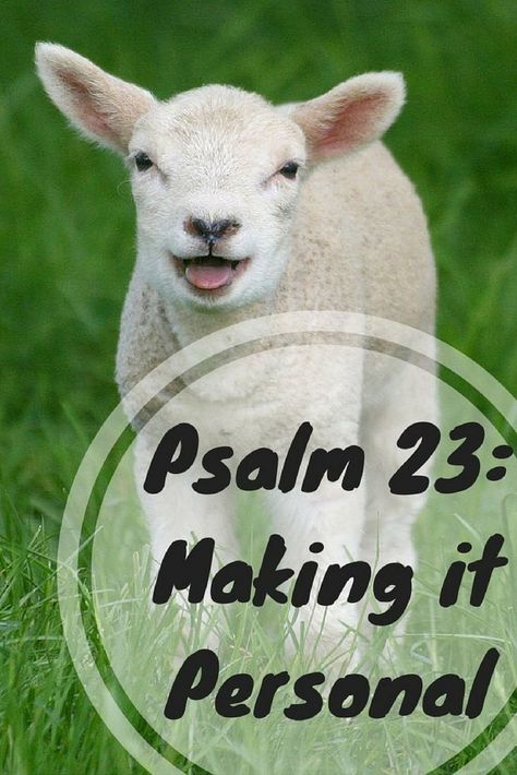 The Psalm 23 meaning is deep and rich for every believer. This post features Psalm 23 explained beautifully in a personal way. Experience God's peace, comfort, and blessing from this amazing portion of God's word. Psalm 23 Bible Study, Psalms Meaning, 23 Meaning, Praying Scripture, God's Peace, Womens Bible, Christian Thoughts, Psalms 23, God's Daughter