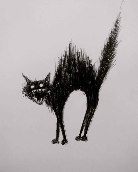 Scary Ink Drawings, Scared Animal Drawing, Scary Cat Drawing, Goth Sketches, Scared Cat Drawing, Feral Cat, Weird Cat Drawing, Scaredy Cat Tattoos, Demonic Cat Drawing