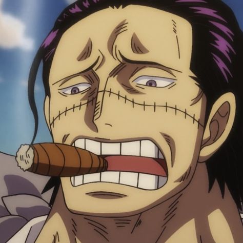 one piece crocodile icon - ep 1086 In A While Crocodile, Crocodile One Piece, One Piece Ep, Sir Crocodile, Dragon Ball Z Iphone Wallpaper, One Piece Tattoos, Cute Funny Pics, Anime Monsters, One Piece Ace