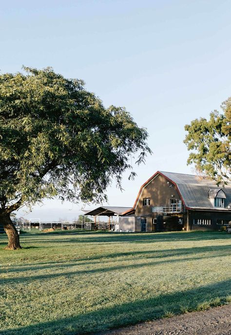 The barn at Summer Land Camel Farm is home to the milk and skincare manufacturing room as well as the office | Photography: Marnie Hawson Office Photography, Milk Products, Farm Lifestyle, Future Farms, Farms Living, Dairy Farms, Ranch Life, Home Inspo, Horse Farms