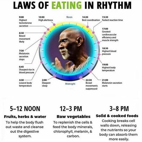 By aligning your food intake with your circadian rhythm you can help to maximize health weight loss and energy. Here is an example by #DrSebi. --- #herbology #food #foodismedicine #natural #laws #wellness #mondaythoughts #awareness #sarasota Eating In Rhythm, Dr Sebi Alkaline Food, Eating Schedule, High Testosterone, Body Flush, Dr Sebi, Alkaline Diet, Herbs For Health, Circadian Rhythm