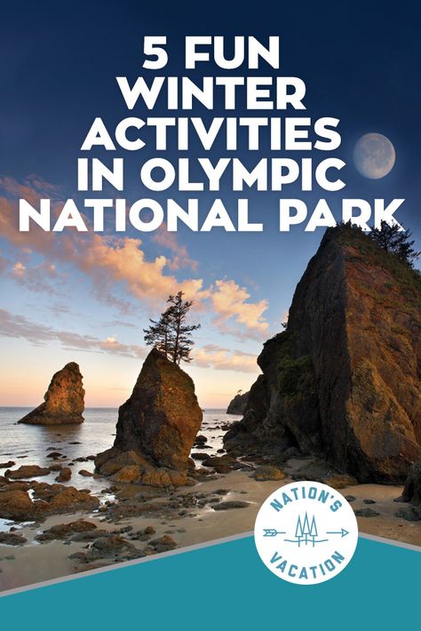 Olympic National Park Winter, Vacation Places In Usa, United States Travel Bucket Lists, Fun Winter Activities, Park Forest, Winter Beach, Travel Bucket List Usa, Usa Travel Guide, Olympic Peninsula