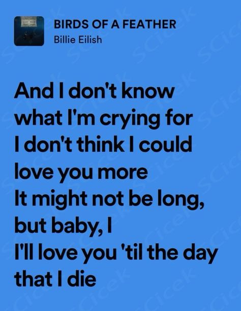 #music #spotify #musician #song #billie #billieeilish #billieeilishaesthetic #lyrics #lyricsong #eilish #album Birds Of A Feather Billie Eilish Lyrics, Birds Of A Feather Lyrics, Billie Ellish Songs Lyrics, Birds Of A Feather Billie Eilish, Lyrics Billie Eilish, Billie Lyrics, Billie Eilish Lyrics, Music Spotify, Birds Of A Feather