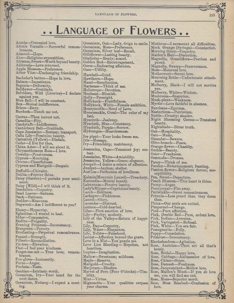 Learn the Victorian Meaning of Flowers + FREE vintage printables! Menulis Novel, The Language Of Flowers, Free Vintage Printables, Flower Meanings, Flower Names, Language Of Flowers, Book Writing Tips, Vintage Printables, Types Of Flowers