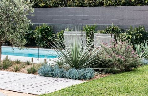 The new look Aussie backyard - Native Plant Project Plants Around Pool, Native Plant Landscape, Australian Garden Design, Pool Plants, Australian Native Garden, Fireplace Designs, Pool Landscape Design, Dry Garden, Australian Garden