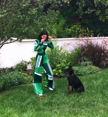 Adidas Tracksuit Outfit, Kendall Jenner Adidas, Danielle Cathari, Adidas Leggings Outfit, Kendall Jenner Body, Looks Adidas, Kendall Jenner Instagram, Trajes Kylie Jenner, Tracksuit Outfit