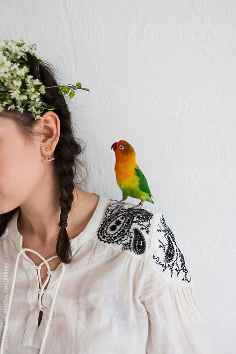 Bird On Shoulder Reference, Animal On Shoulder, Bird On Shoulder, Parrot On Shoulder, Bird Photoshoot, Aesthetic Birds, Pet Portraits Photography, Cute Parrot, Parrot Stand