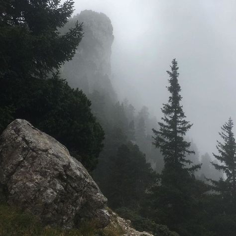 In The Woods Somewhere, Dark Naturalism, Dark Forest Aesthetic, Mountain Aesthetic, Mountains Aesthetic, Foggy Weather, Foggy Mountains, Between Two Worlds, Dark Paradise