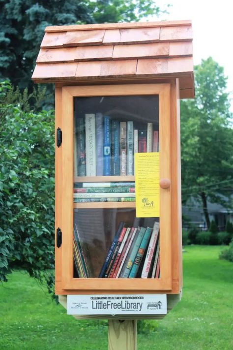 30 DIY Little Free Library Plans You Can Build Geocash Ideas, Diy Little Free Library, Small Bookshelf Ideas, Neighborhood Library, Diy Bookshelf Plans, Mini Shed, Little Free Library Plans, Little Free Pantry, Library Cabinet