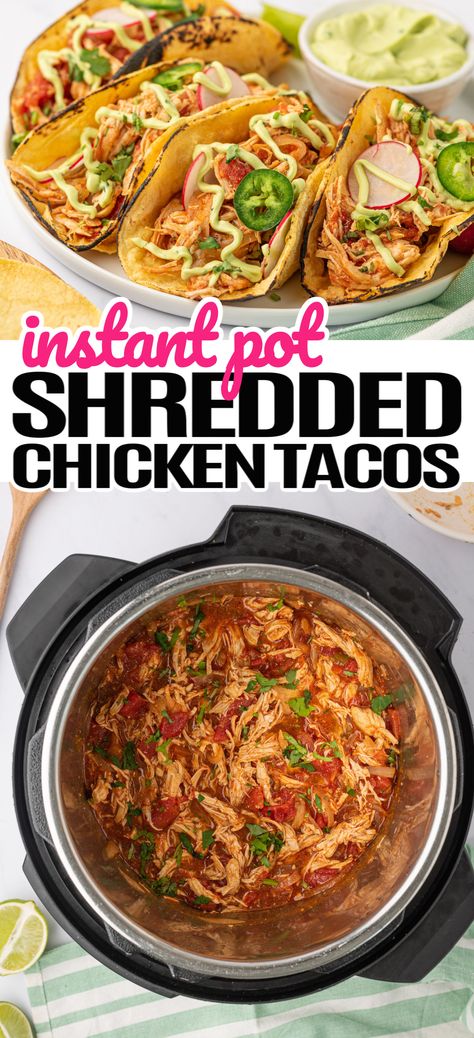 Shredded Chicken Tacos Instant Pot, Creamy Shredded Chicken, Instant Pot Shredded Chicken Tacos, Chicken Tacos Instant Pot, Avocado Cilantro Sauce, Tacos Instant Pot, Instant Pot Shredded Chicken, Instant Pots, Fiesta Night