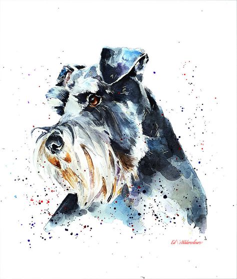 Schnauzer Painting, Schnauzer Print, Schnauzer Art, Dog Memorial Tattoos, Schnauzer Dogs, Eye Print, Miniature Schnauzer, Animal Sketches, Arte Animal