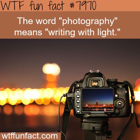 WTF Facts : funny, interesting & weird facts Word Photography, Photography Quotes Funny, Facts Funny, Photography Words, Quotes About Photography, Science Facts, Interesting Information, It Goes On, True Facts